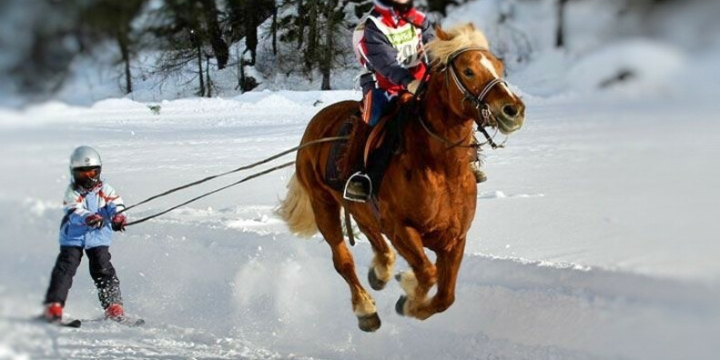 Charlotte Horse Riding #3