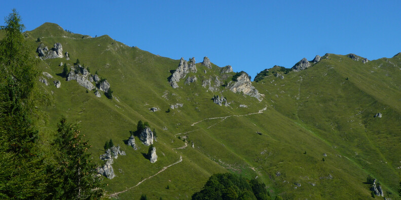Sentiero Naturalistico Val Concei  #1 | © Foto Archivio Apt
