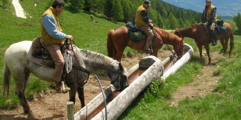 Associazione Natura a cavallo (Verein "Natur zu Pferd")   #1