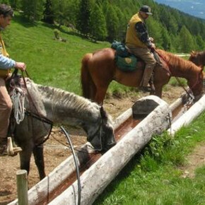 Associazione Natura a cavallo  