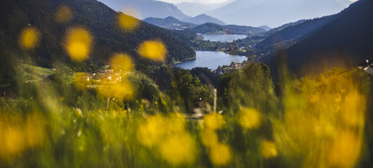 Blue Flags awarded to Trentino lakes