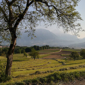 The countryside near Fiavé and Favrio | © Garda Trentino 