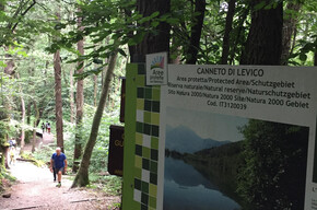 Passeggiata Biotopo Il canneto di Levico | © APT Valsugana e Lagorai