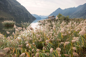 The Lake Idro Biotope, a treasure chest of biodiversity | © APT Madonna di Campiglio, Pinzolo, Val Rendena