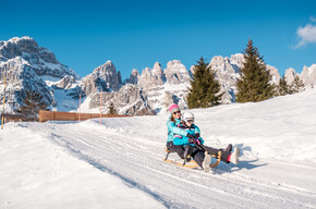Scoiattolo | © APT Dolomiti di Brenta e Paganella