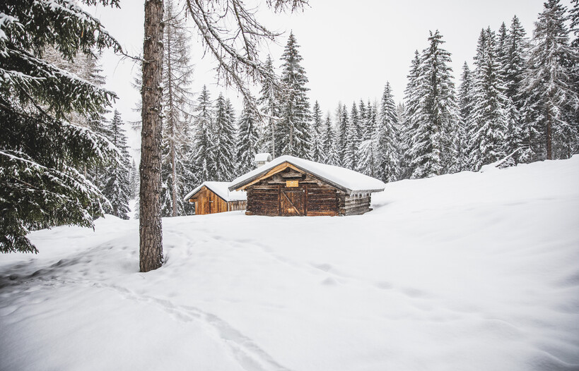 Choose your mountain cabin! 
