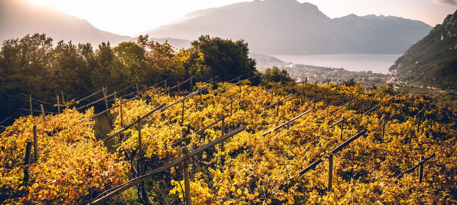 Trentodoc Festival: From 20 to 22 September in Trento and in the Trentino cellars