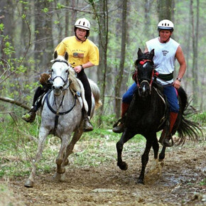 Centro Equituristico Airone Horseback riding  