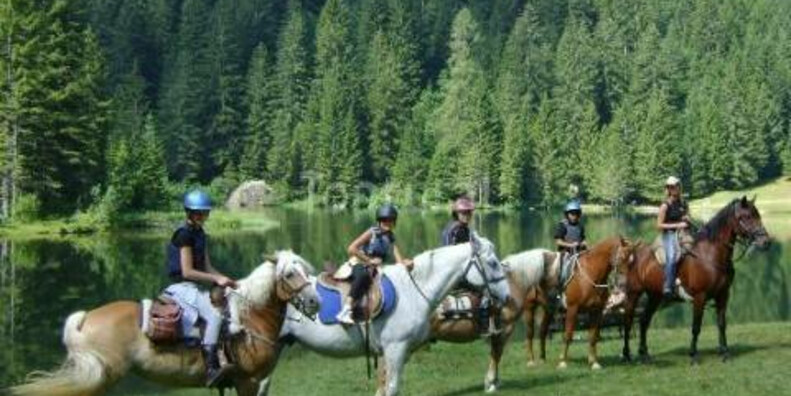 Alpina Val di Sole horse riding centre   #1