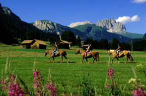 Horse Ranch Highland Cattle Riding Club   