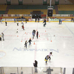 Gianmario Scola Ice Arena 