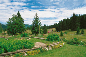Botanische tuin van Passo Coe 