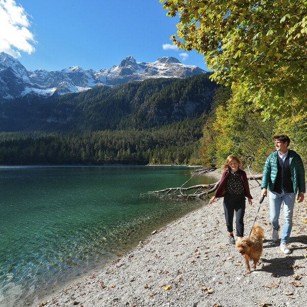 Lago di Tovel  - Wandern mit Hund
