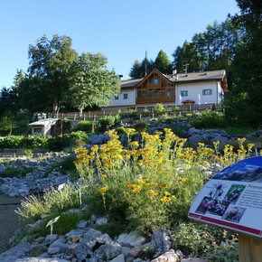 Valle dell'Adige - Monte Bondone - Rifugio Viote e giardino botanico
