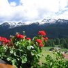  Foto von Natur und Wohlfühlung in den Dolomiten , Doppelzimmer