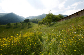 Reservatnetz Ledro-Alpen | © RR Alpi Ledrensi - Anna Sustersic -Malga Grassi
