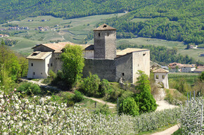 Castel Belasi