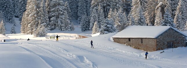 Langlaufzentrum Folgaria Alm - Coe Pass - Trentino, Dolomiten