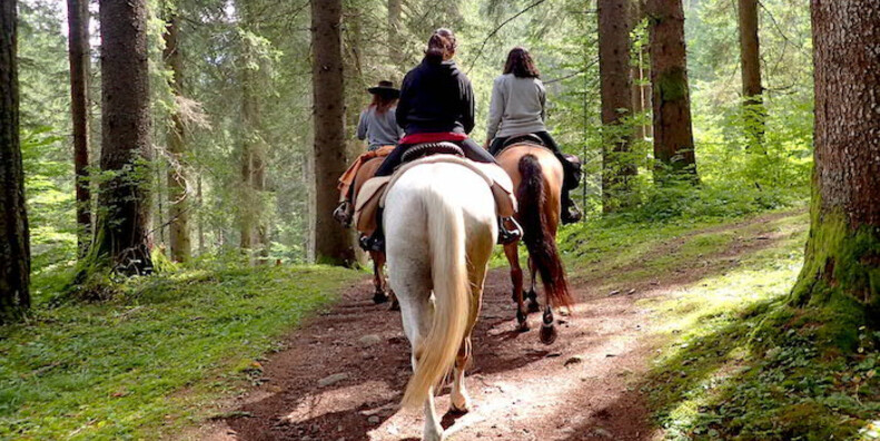 Escursioni a cavallo Horse Trekking #1 | © Foto archivio Apt Madonna di Campiglio