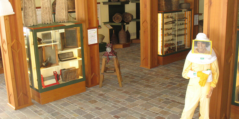 Honigmuseum (Museo del Miele) #2 | © Foto Archivio Apt Alpe Cimbra