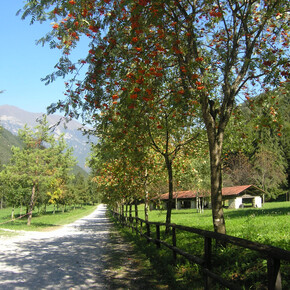 Senter de Malga Cor (SAT 457 bis) | © Garda Trentino