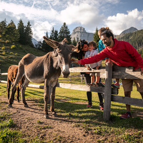 Malga Tovre | © APT Dolomiti di Brenta e Paganella