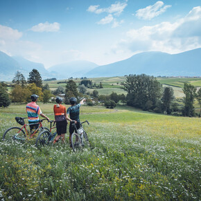 In the fields near Cornelle | © Garda Trentino