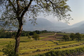 I campi tra Fiavé e Favrio | © Garda Trentino 