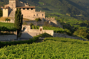 Entlang den Weg von Merlot-Wein | © APT Rovereto Vallagarina Monte Baldo