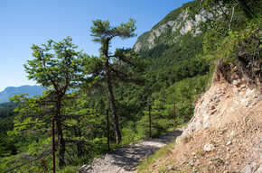 Il Lez Sentiero Margherita passeggiate in piano in Val di Non Trentino | © APT Val di Non 