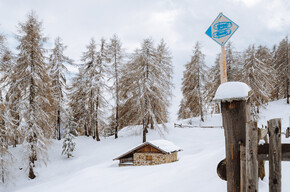 Itinerario con le racchette da neve tra le malghe di Bolentina | © APT Valli di Sole, Peio e Rabbi