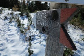 Trekking to Monte Cogne in winter | © APT Trento 