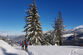 Up to the peak of Dosso di Costalta in winter | © APT Trento 