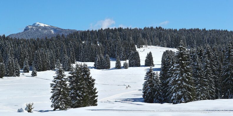 Альтопьяно-Веццена  #1 | © Altopiano di Vezzena inverno panorama