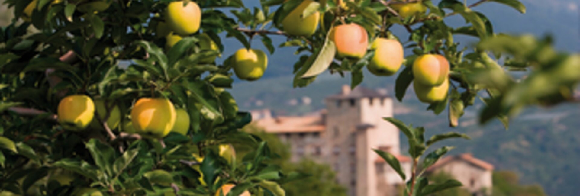 Cles Castle and apple orchards in Val di Non