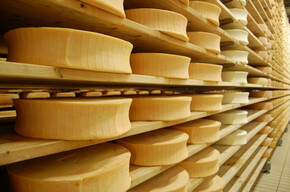 Nostrani - Local cheeses
