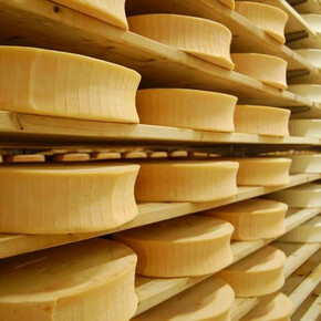 Nostrani - Local cheeses