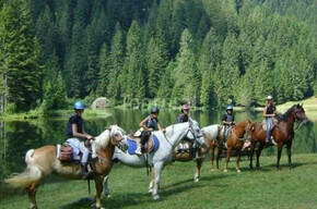 Alpina Val di Sole horse riding centre  