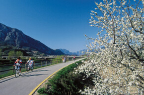 Radweg Valle dell'Adige Nord 