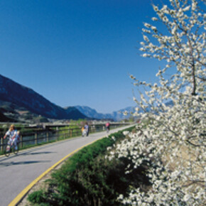 valle-dell-adige-estate-2007-ciclisti-sulla-pista-ciclabile