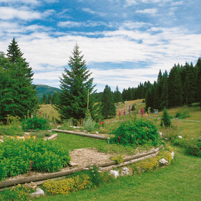 Botanische tuin van Passo Coe 