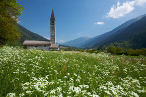 Val Rendena - Valli Giudicarie - Chiesa di Sant Antonio Abate di Pelugo
