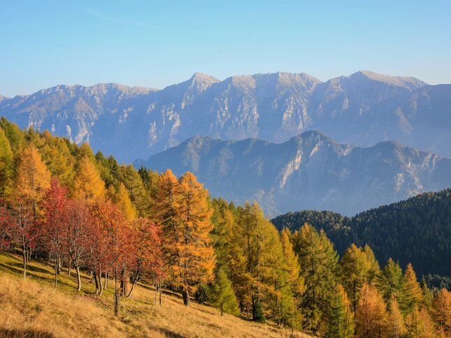 Údolí Val di Fiemme a Val di Cembra