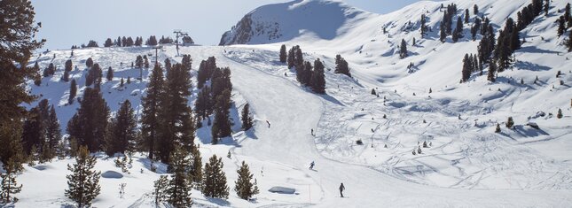 Val di Fiemme - Cavalese - Cermis - Piste da sci
