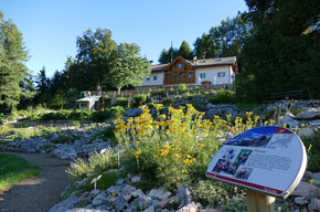 Valle dell'Adige - Monte Bondone - Rifugio Viote e giardino botanico

