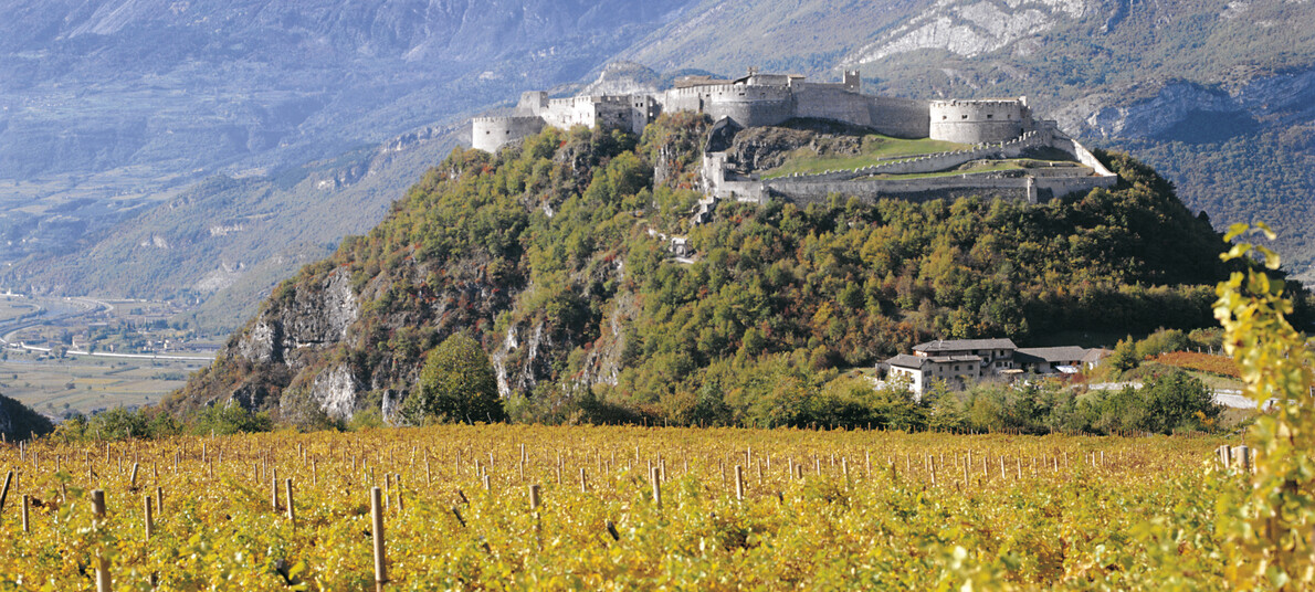 Radweg Valle dell'Adige - Vorbei an Weingütern und Burgen