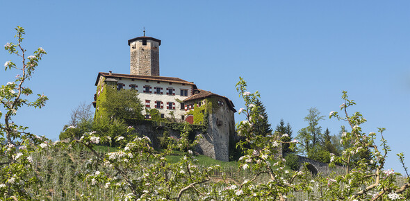 Kunst und Kultur in Trentino - Val di Non | © Castel-Valer-Apt-Val-di-Non