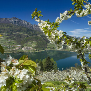 Happy Easter from Trentino… with a present!