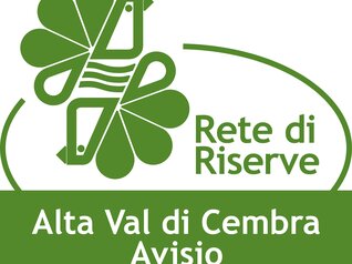 Reservatnetz Cembra - Avisio