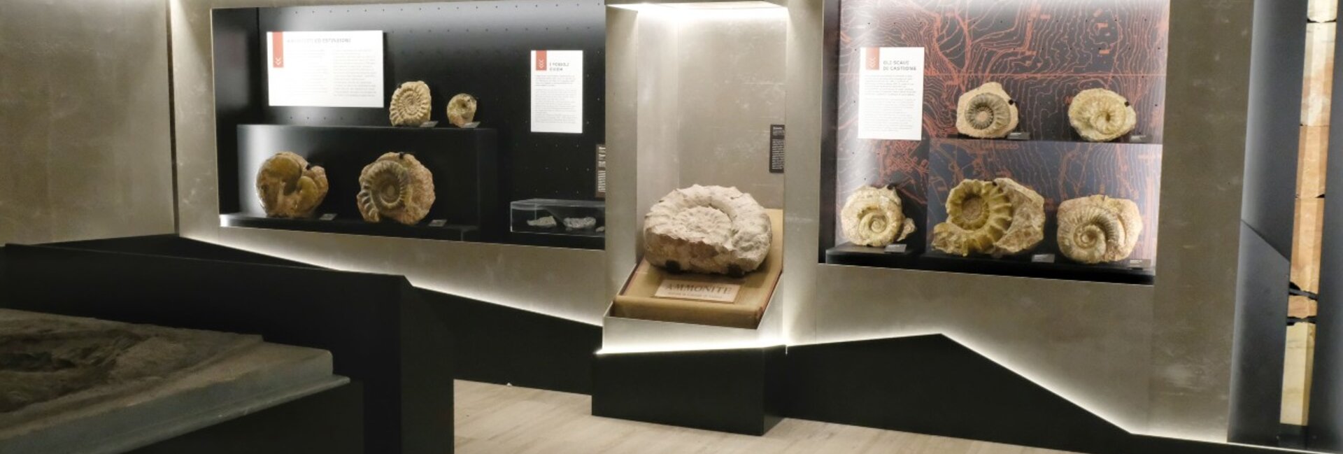 Museo di Scienze e Archeologia, Rovereto